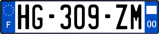 HG-309-ZM