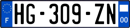 HG-309-ZN