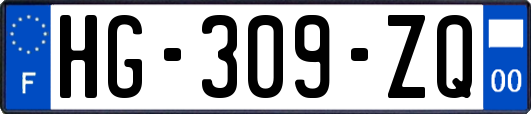 HG-309-ZQ