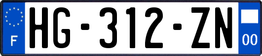 HG-312-ZN