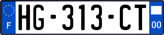 HG-313-CT