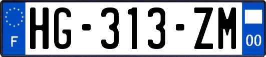 HG-313-ZM