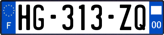 HG-313-ZQ