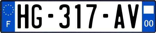 HG-317-AV