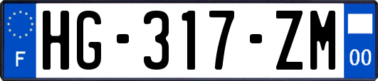 HG-317-ZM