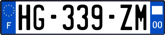 HG-339-ZM