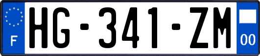 HG-341-ZM
