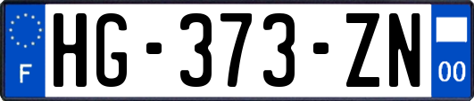 HG-373-ZN