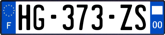 HG-373-ZS