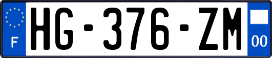 HG-376-ZM