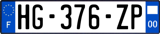 HG-376-ZP