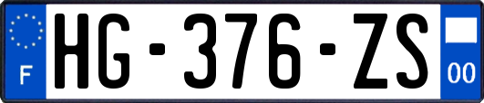 HG-376-ZS