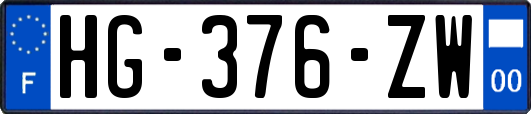 HG-376-ZW