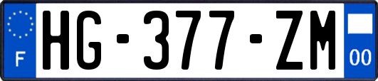 HG-377-ZM