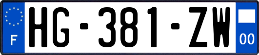 HG-381-ZW
