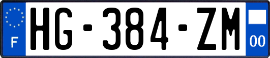 HG-384-ZM