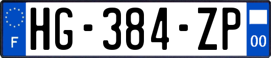 HG-384-ZP