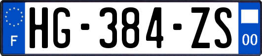 HG-384-ZS