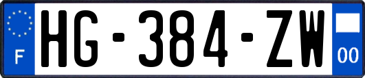 HG-384-ZW