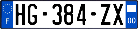 HG-384-ZX
