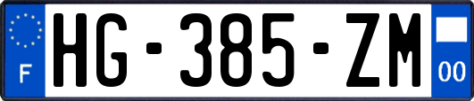 HG-385-ZM