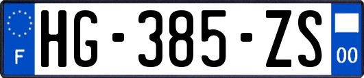 HG-385-ZS