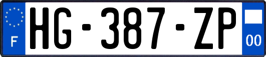 HG-387-ZP