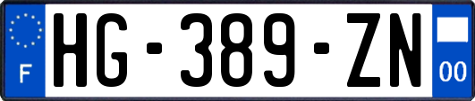 HG-389-ZN