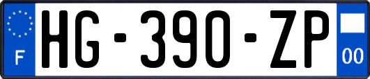 HG-390-ZP