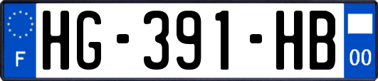 HG-391-HB
