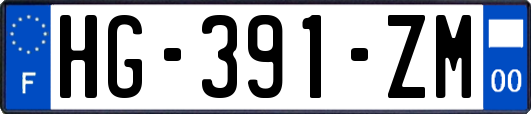 HG-391-ZM
