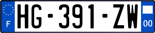 HG-391-ZW