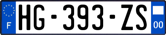 HG-393-ZS