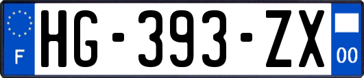 HG-393-ZX
