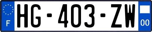 HG-403-ZW