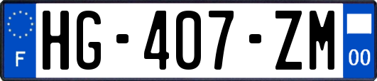 HG-407-ZM