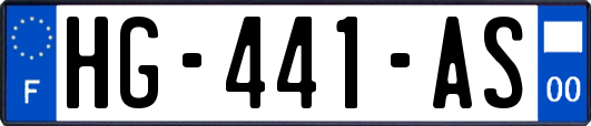 HG-441-AS