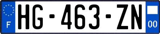 HG-463-ZN