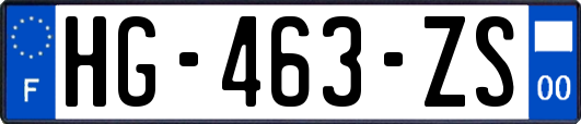 HG-463-ZS