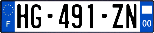 HG-491-ZN
