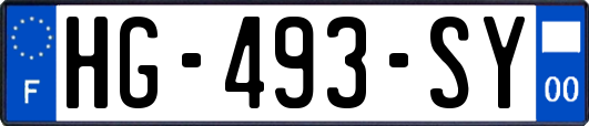 HG-493-SY