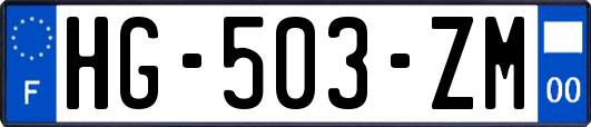 HG-503-ZM