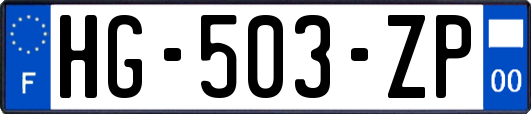 HG-503-ZP
