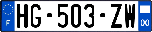 HG-503-ZW