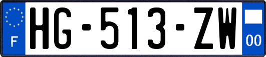 HG-513-ZW