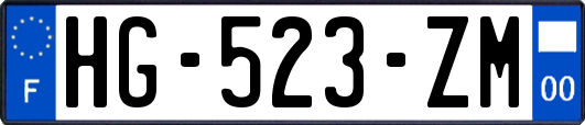 HG-523-ZM