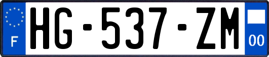 HG-537-ZM