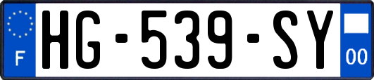 HG-539-SY