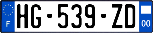HG-539-ZD