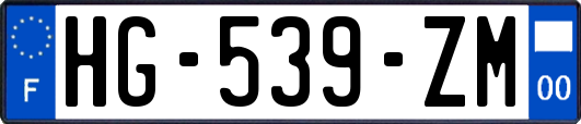 HG-539-ZM